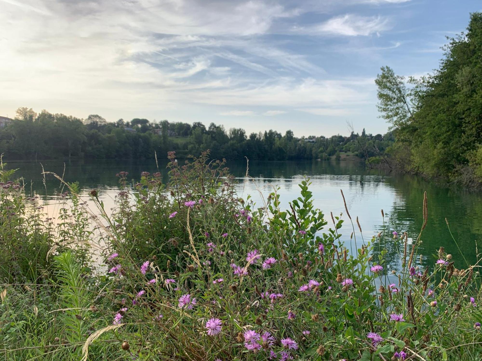 Terres De France - Les Hameaux Des Lacs Monclar-de-Quercy Exterior foto